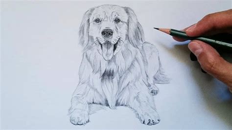 dibujos con lapiz de perros|perro para dibujar facil.